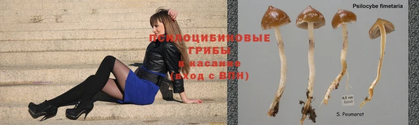 трава Алзамай