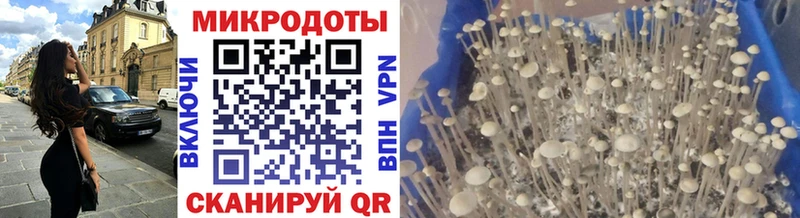 что такое   Первоуральск  блэк спрут рабочий сайт  Псилоцибиновые грибы мухоморы 